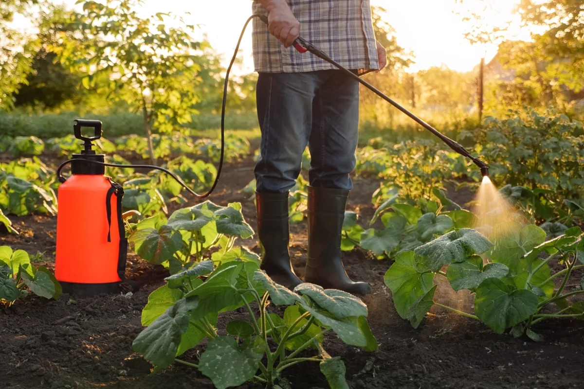 Étude technique d’un projet agricole