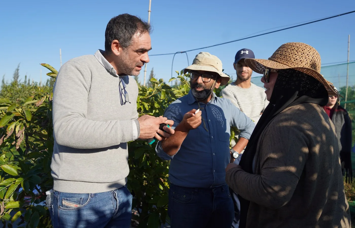 Diagnostic agronomique sur le terrain