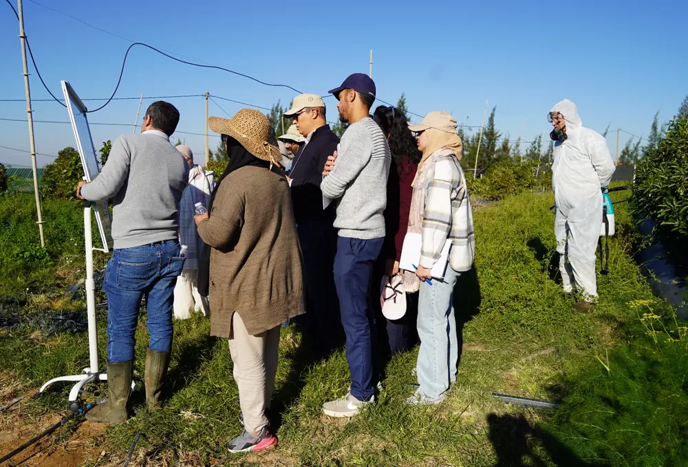 GEP field demonstration