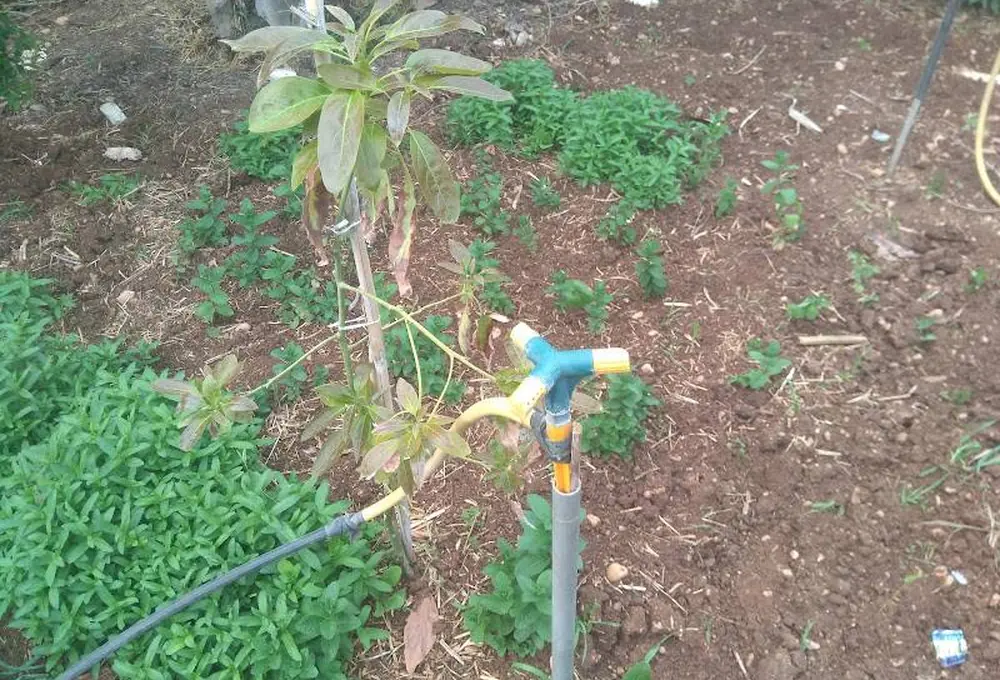 Contrôle d’un dispositif d’irrigation au champ