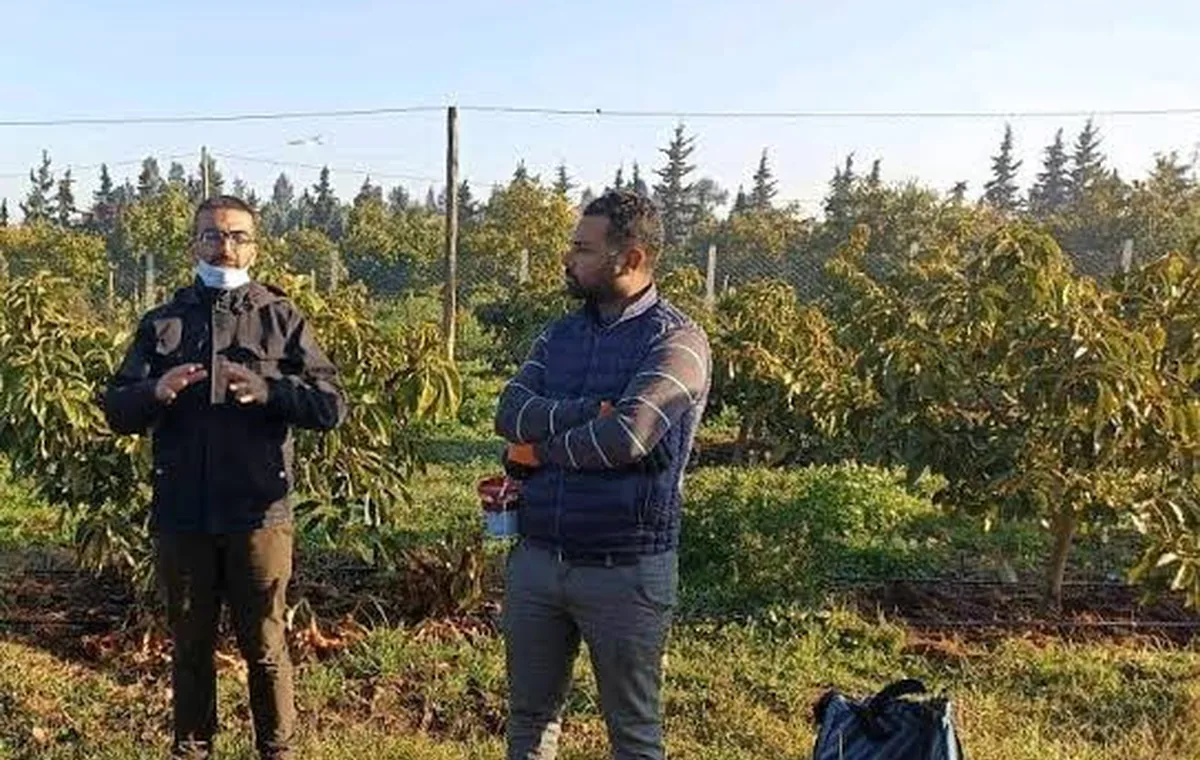 Conseil agronomique MCARE sur le terrain