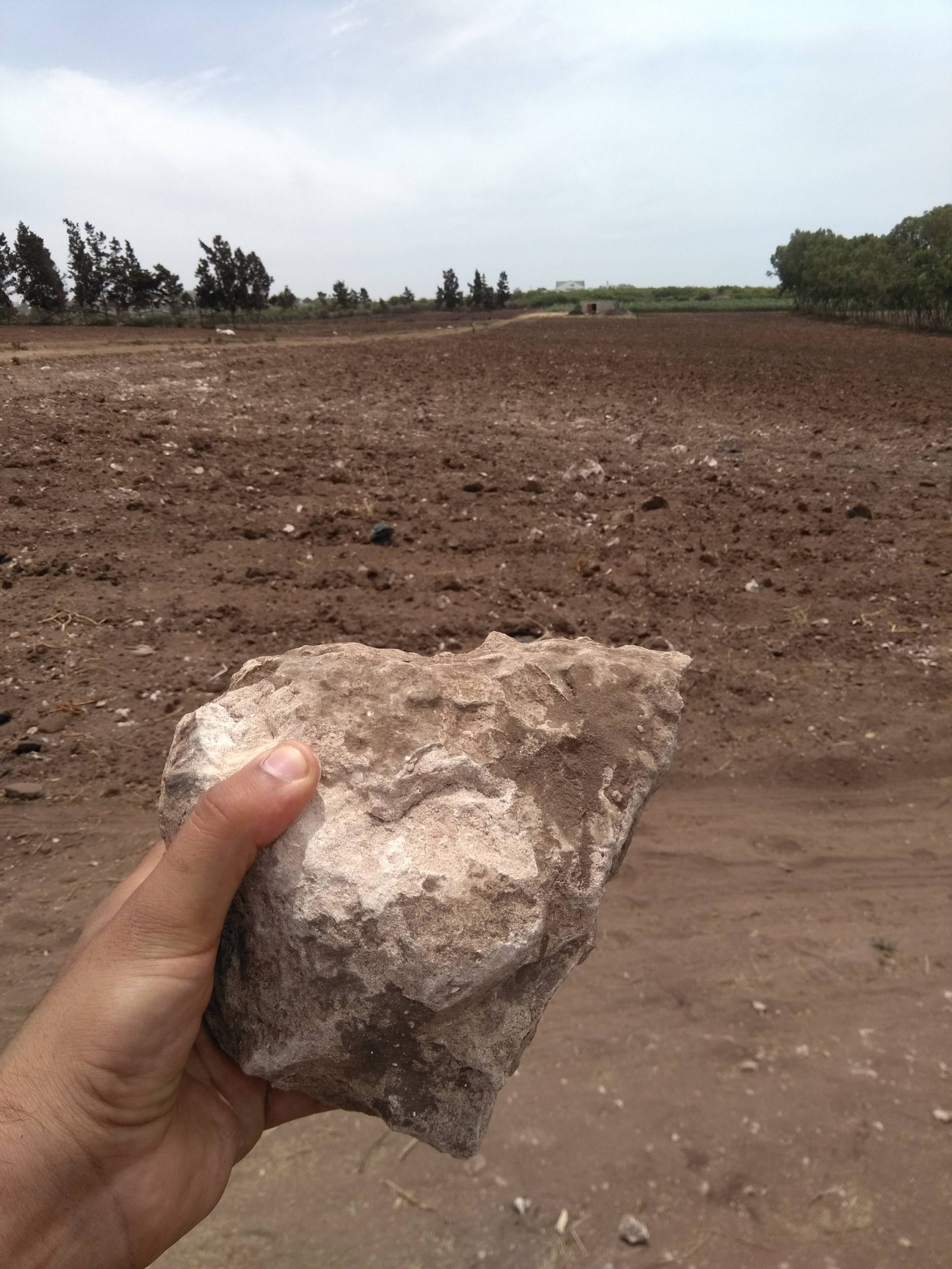 Échantillonnage sol