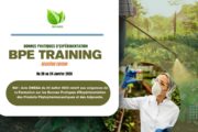 BPE FORMATION